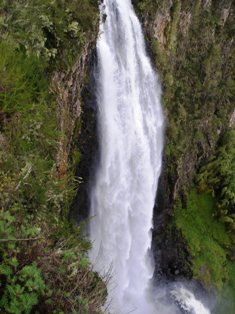 karuru.jpg